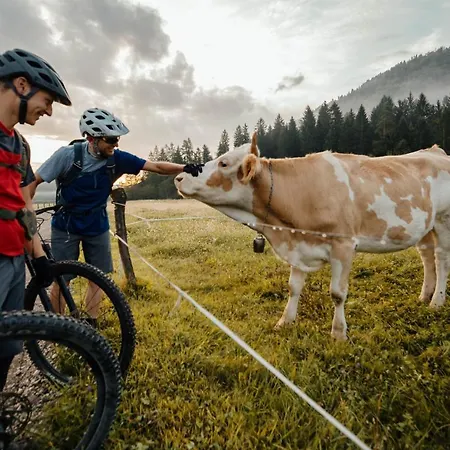 Ribno Luxury Glamping Luxury tent Bled